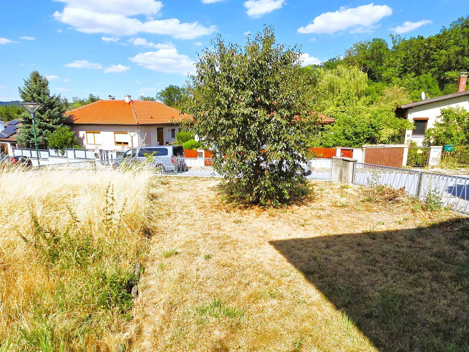 Gartenbereich mit trockenem Rasen, einem Baum und Blick auf die umliegenden Häuser.