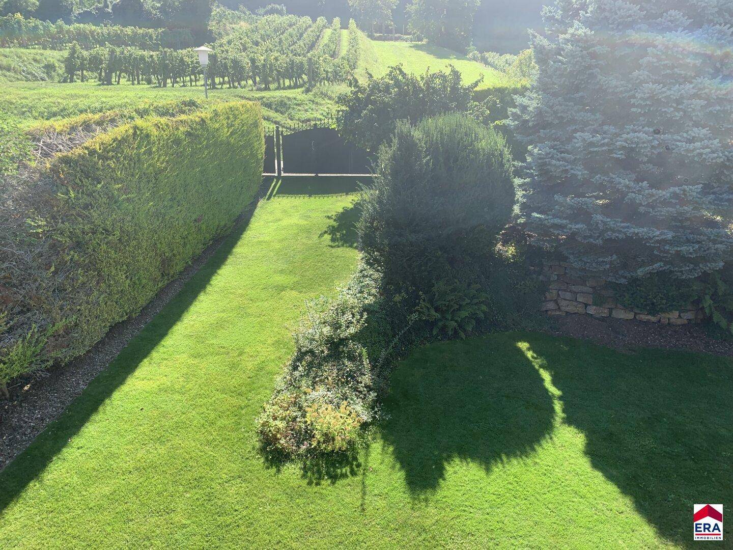 Gepflegter Garten mit Hecke und weitem Blick auf die umliegenden Weinberge.