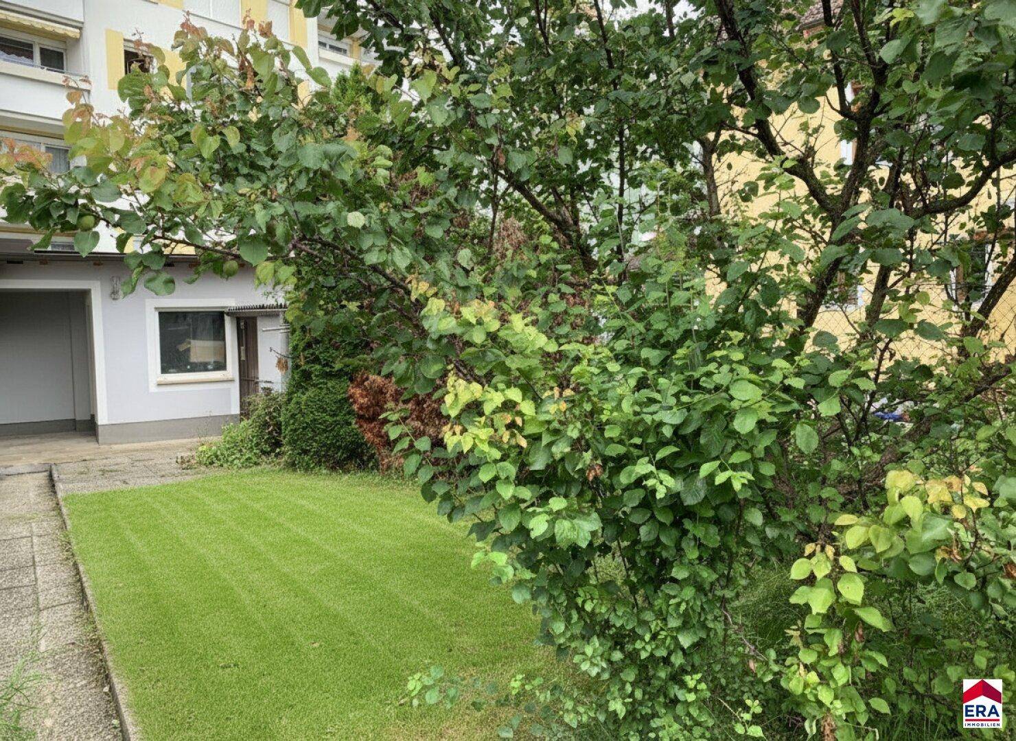 Grüner Gartenbereich mit dichtem Laubbaum und gepflegtem Rasen vor einem Gebäude.