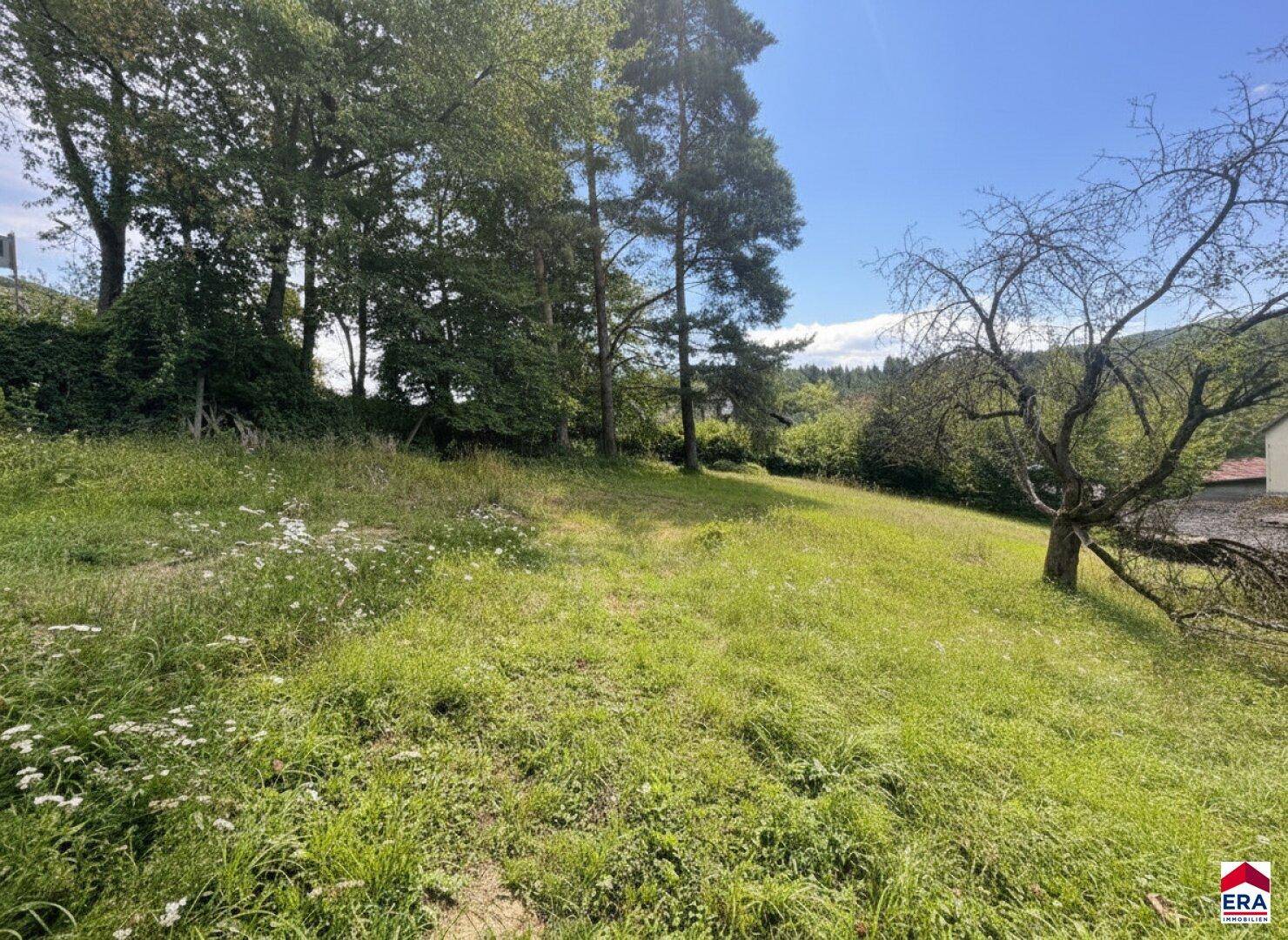 Grüne Hanglage mit Bäumen und einem alten Obstbaum, bietet einen weiten Blick in die Landschaft.