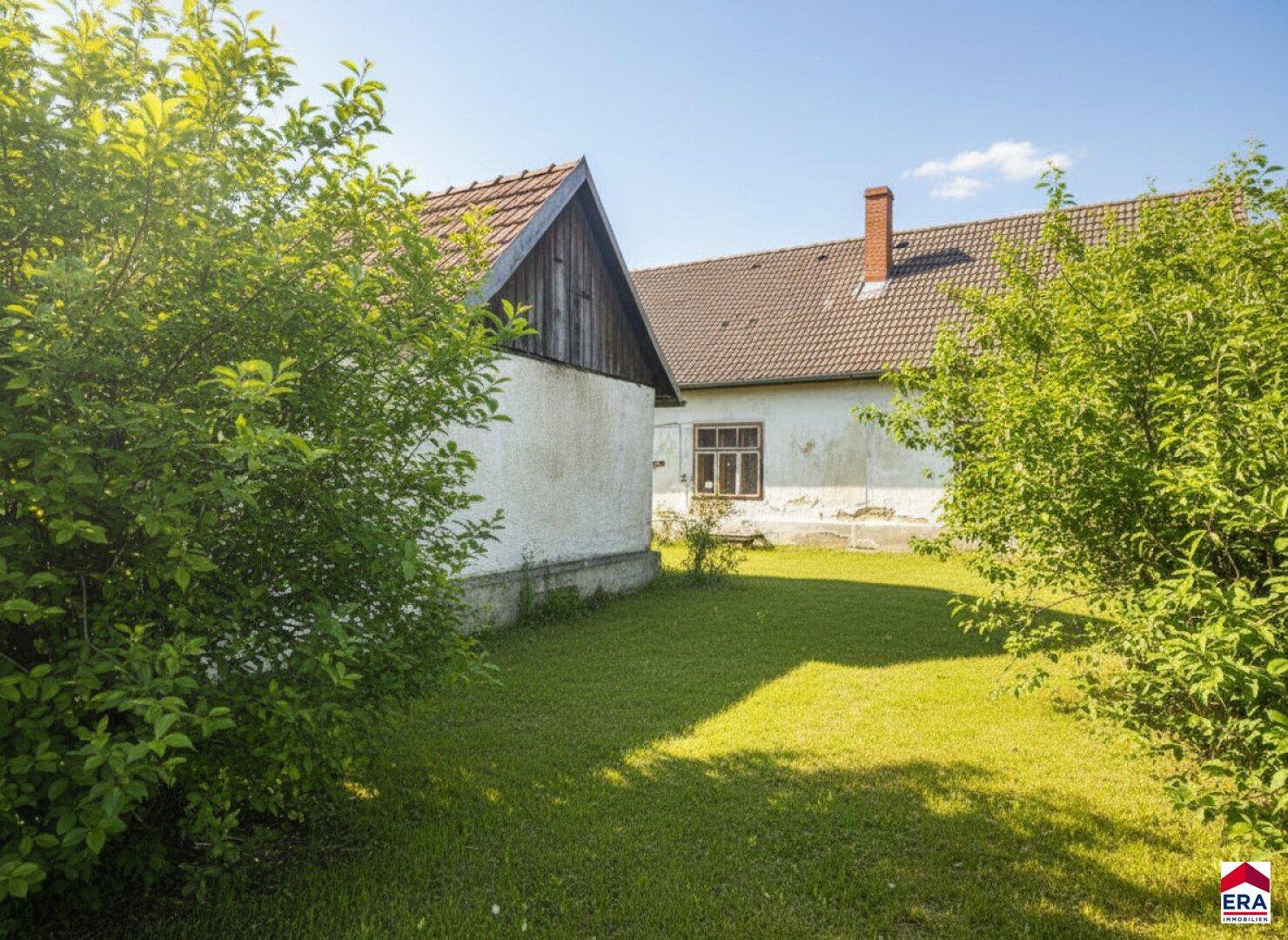 Sonniger Gartenbereich mit grünem Rasen und Sträuchern, im Hintergrund ist das Haus sichtbar.