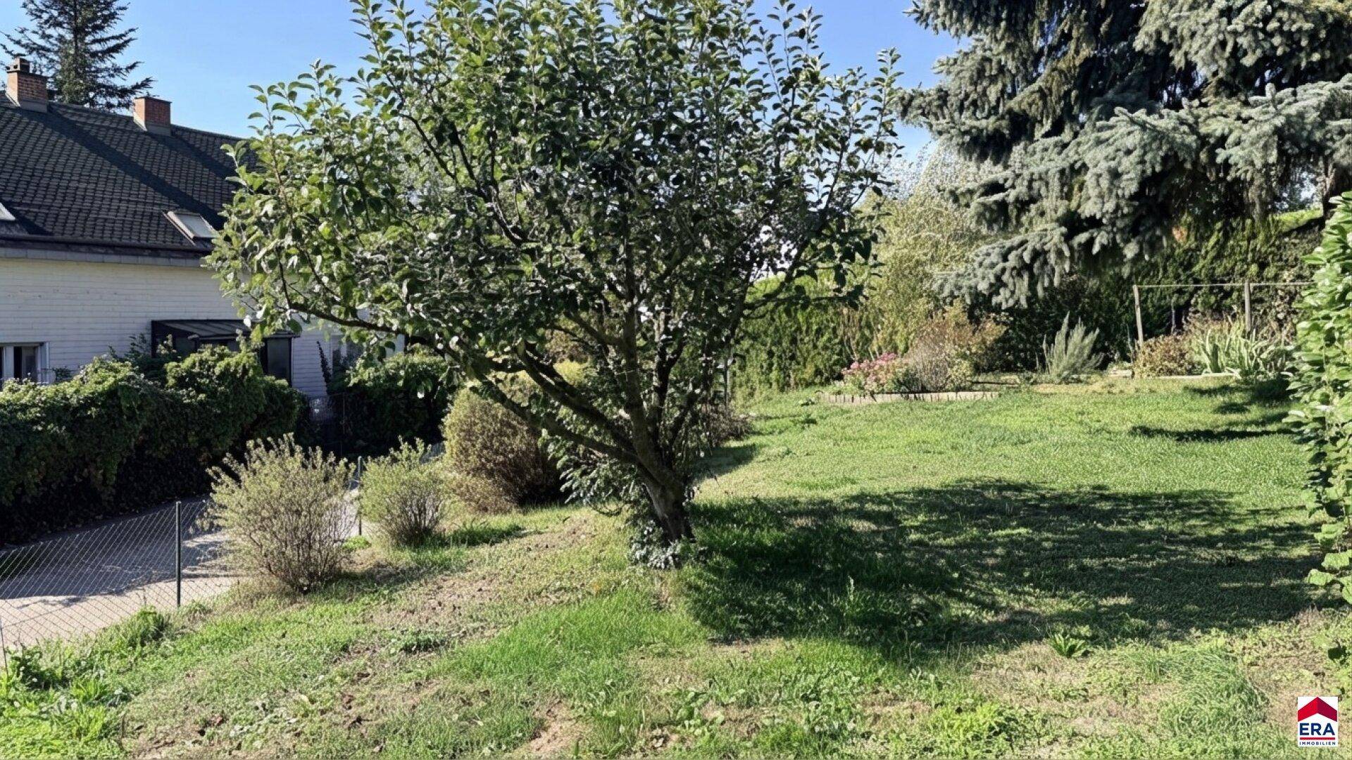 Naturbelassener Gartenbereich mit Rasenfläche und einem Obstbaum im Vordergrund.
