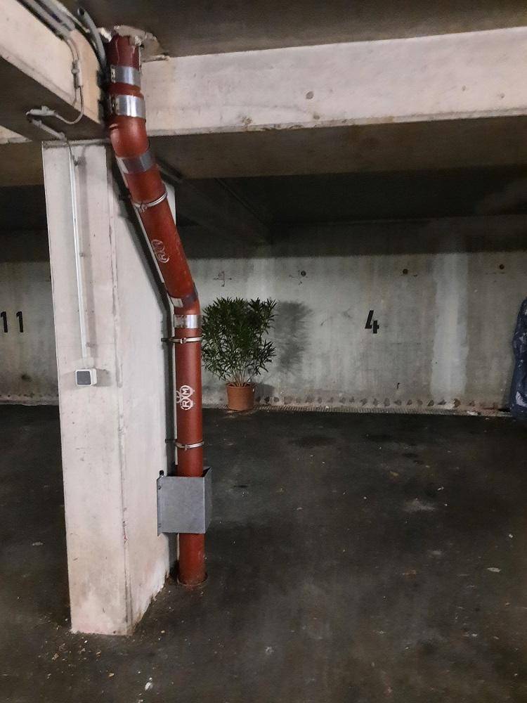 Tiefgarage mit Betonwänden, sichtbaren Rohren und einem einzelnen Topfbaum.
