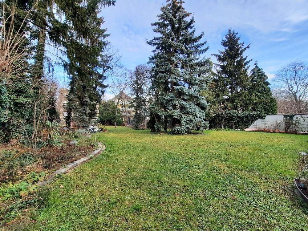 Großer, gepflegter Garten mit Rasenfläche und hohen Nadelbäumen.