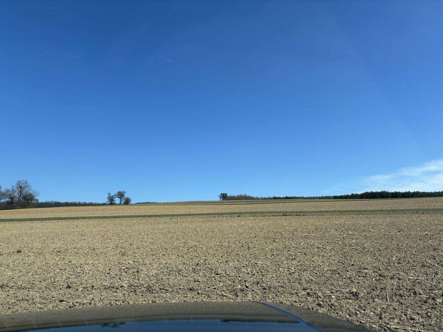 Weite Ackerlandschaft unter klarem, blauem Himmel mit einer Baumgruppe am Horizont.