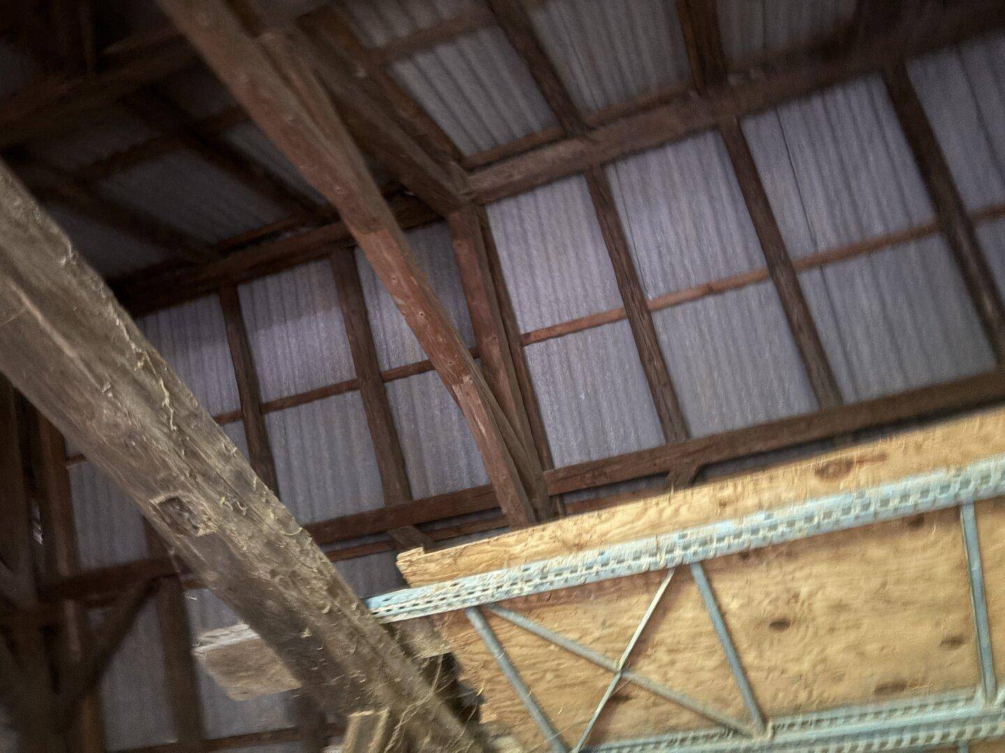 Slide 8