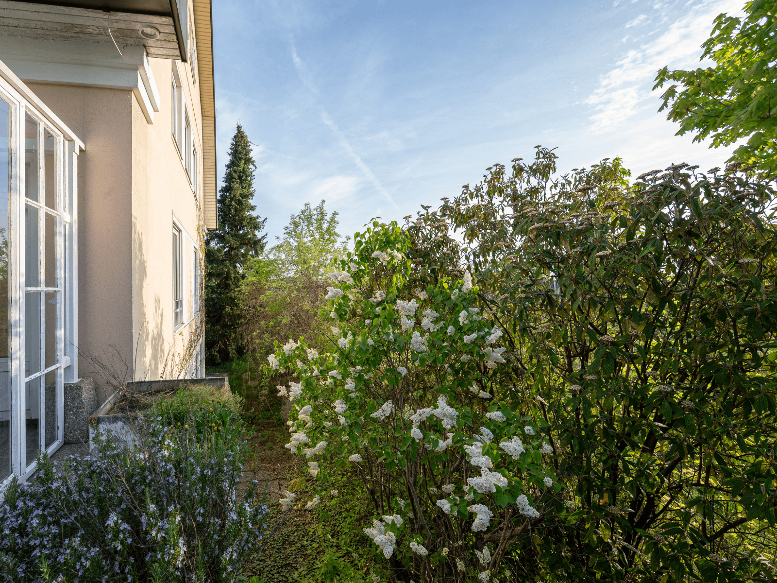 GARTEN III