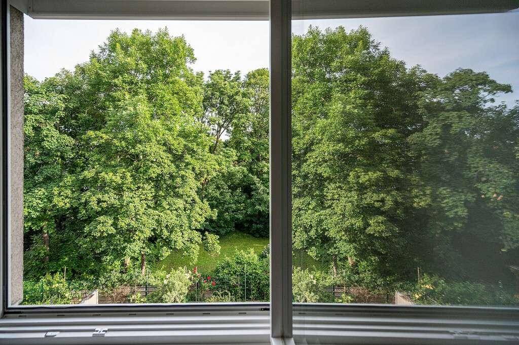 Weitläufiger Blick aus einem Fenster auf grüne Bäume und eine ruhige Gartenlandschaft.