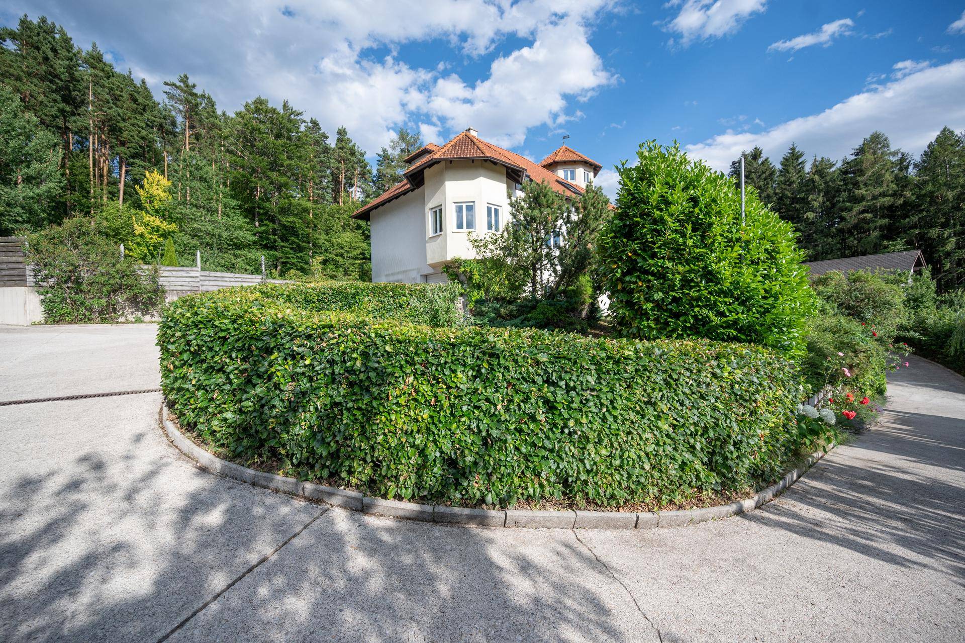 Geschwungene Zufahrt mit einer runden Hecke und dem Haus im Hintergrund.