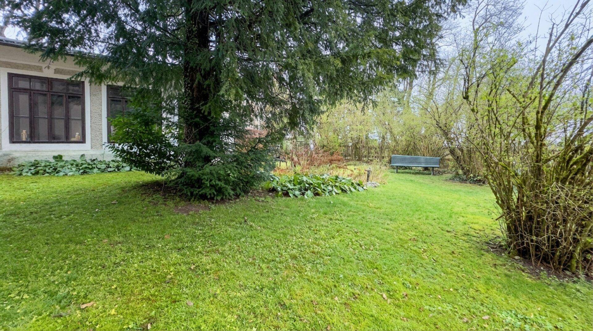 Grüner Gartenbereich mit altem Baum, Rasenfläche und einer Bank im Hintergrund.