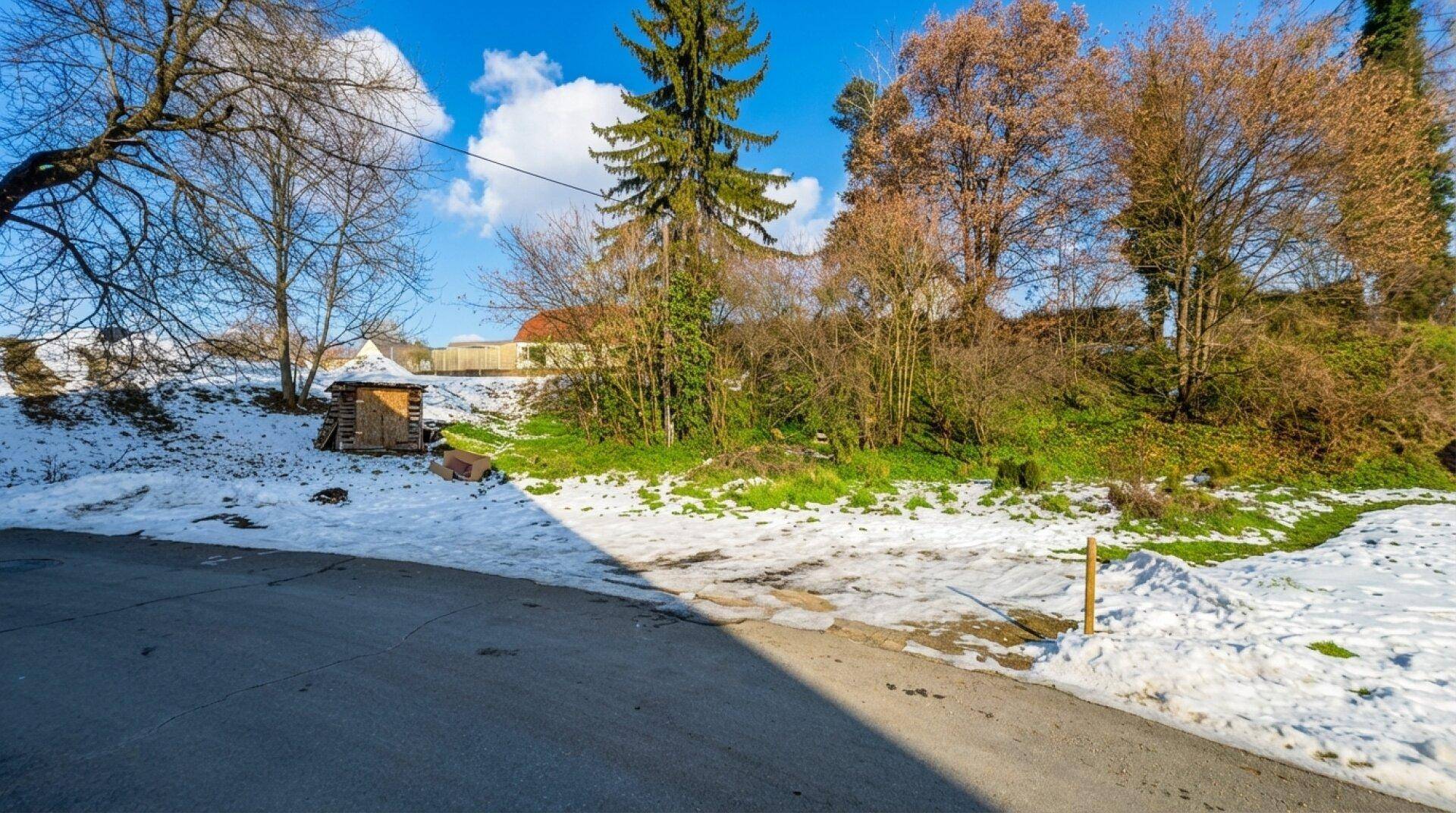 Blick auf den verschneiten Gartenbereich und die Zufahrt mit Bäumen und ländlicher Umgebung.