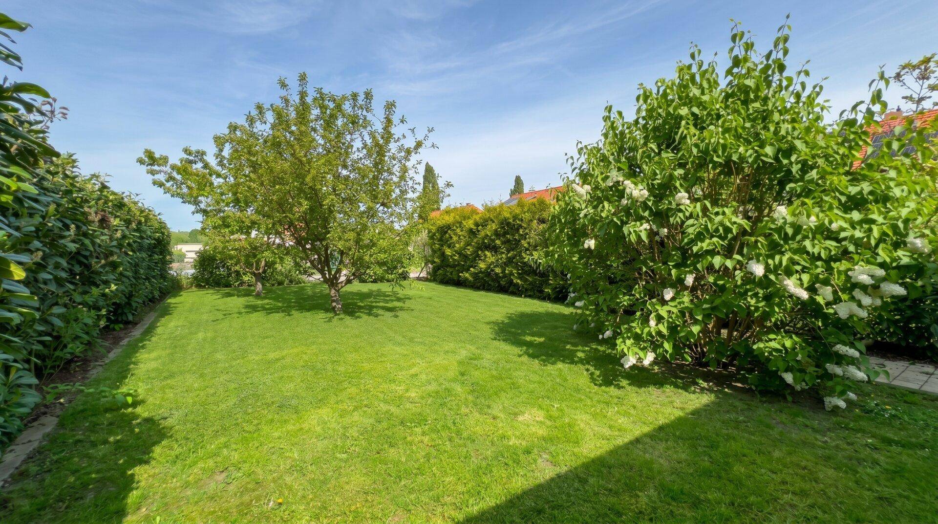 Gepflegter Rasenbereich mit Bäumen und Hecken, bietet viel Platz im grünen Garten.