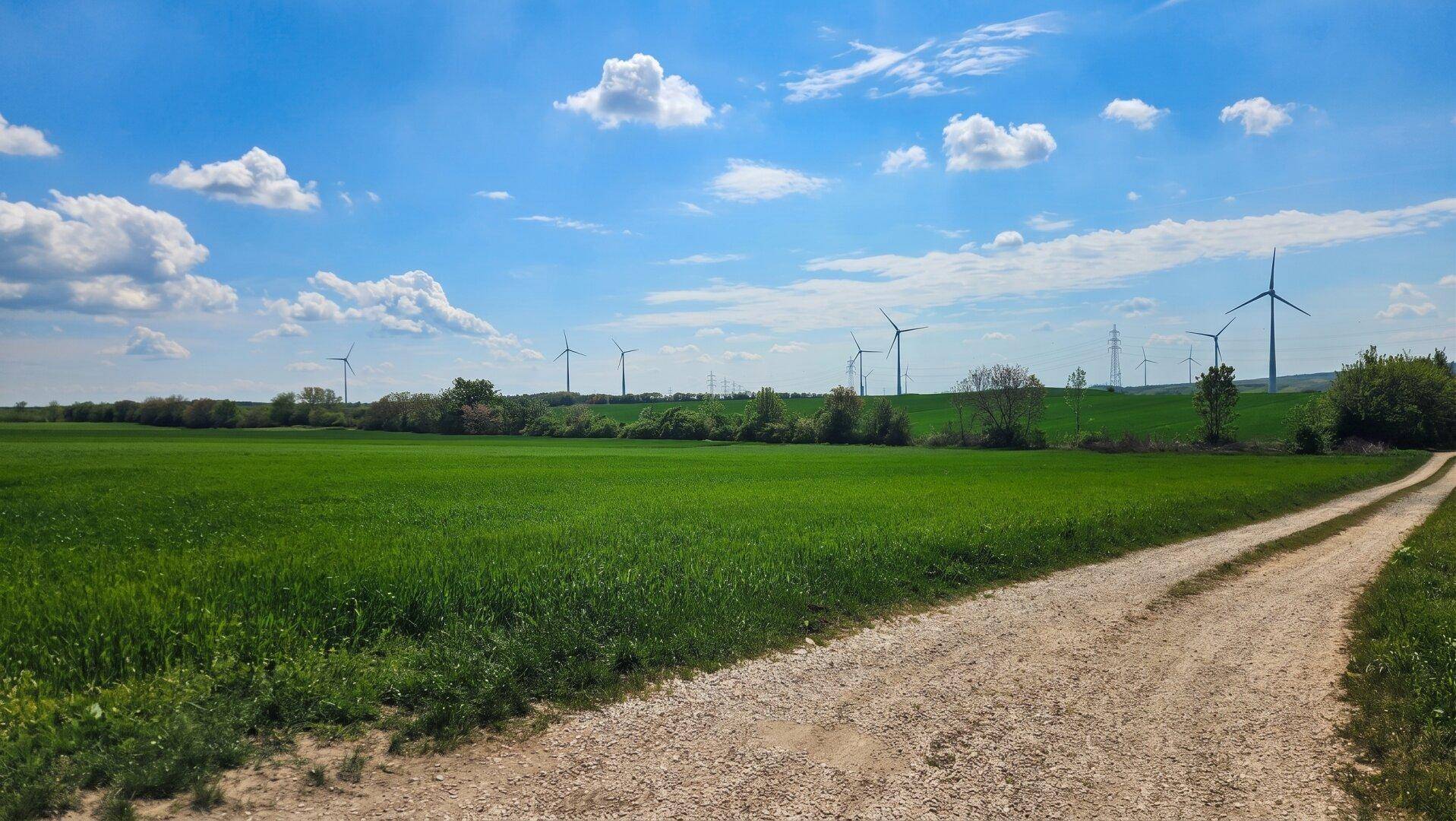 Landschaftsbild mit weiten grünen Feldern, einem Feldweg und Windkraftanlagen am Horizont.