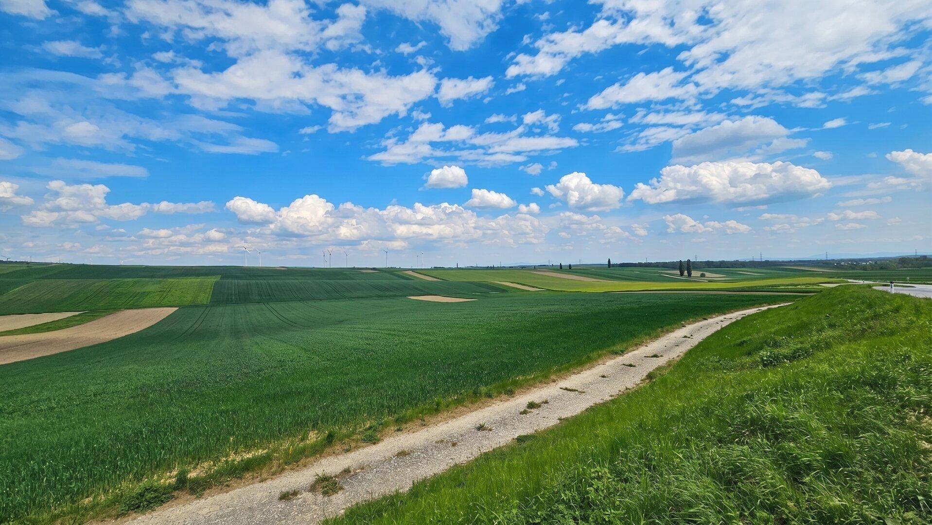 Panoramablick über hügelige grüne Felder mit unterschiedlichen Kulturen unter weitem Himmel.
