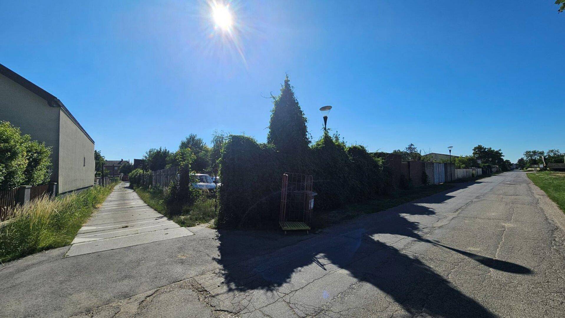 Sonniger Außenbereich mit einem Weg, üppigen Hecken und viel Grün in ländlicher Umgebung.