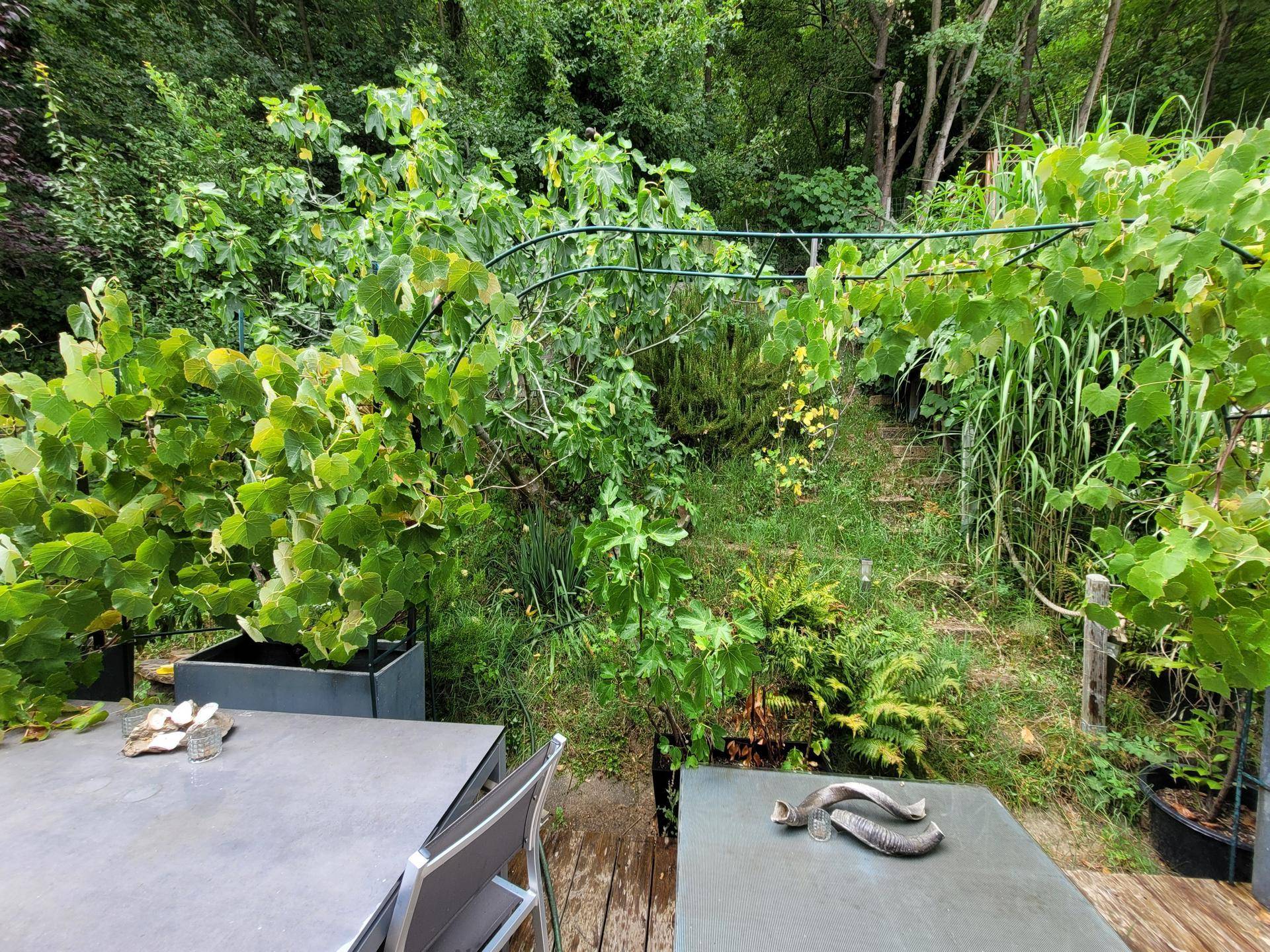 Üppiger Gartenbereich mit vielfältiger Bepflanzung, Holzterrasse und einem natürlichen Aufstieg.