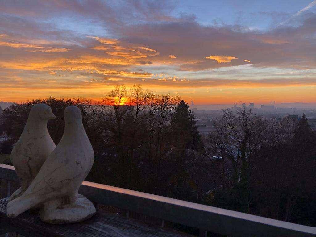 Spektakulärer Sonnenuntergang über der Stadt, gesehen von einem Balkon mit dekorativen Taubenfiguren.