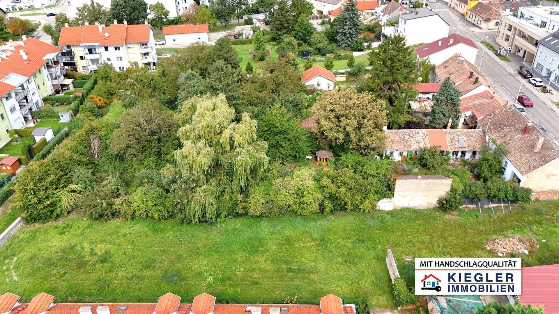 Weitläufige Grünflächen und Baumbestand umgeben von Wohngebäuden in einer ruhigen Siedlung.