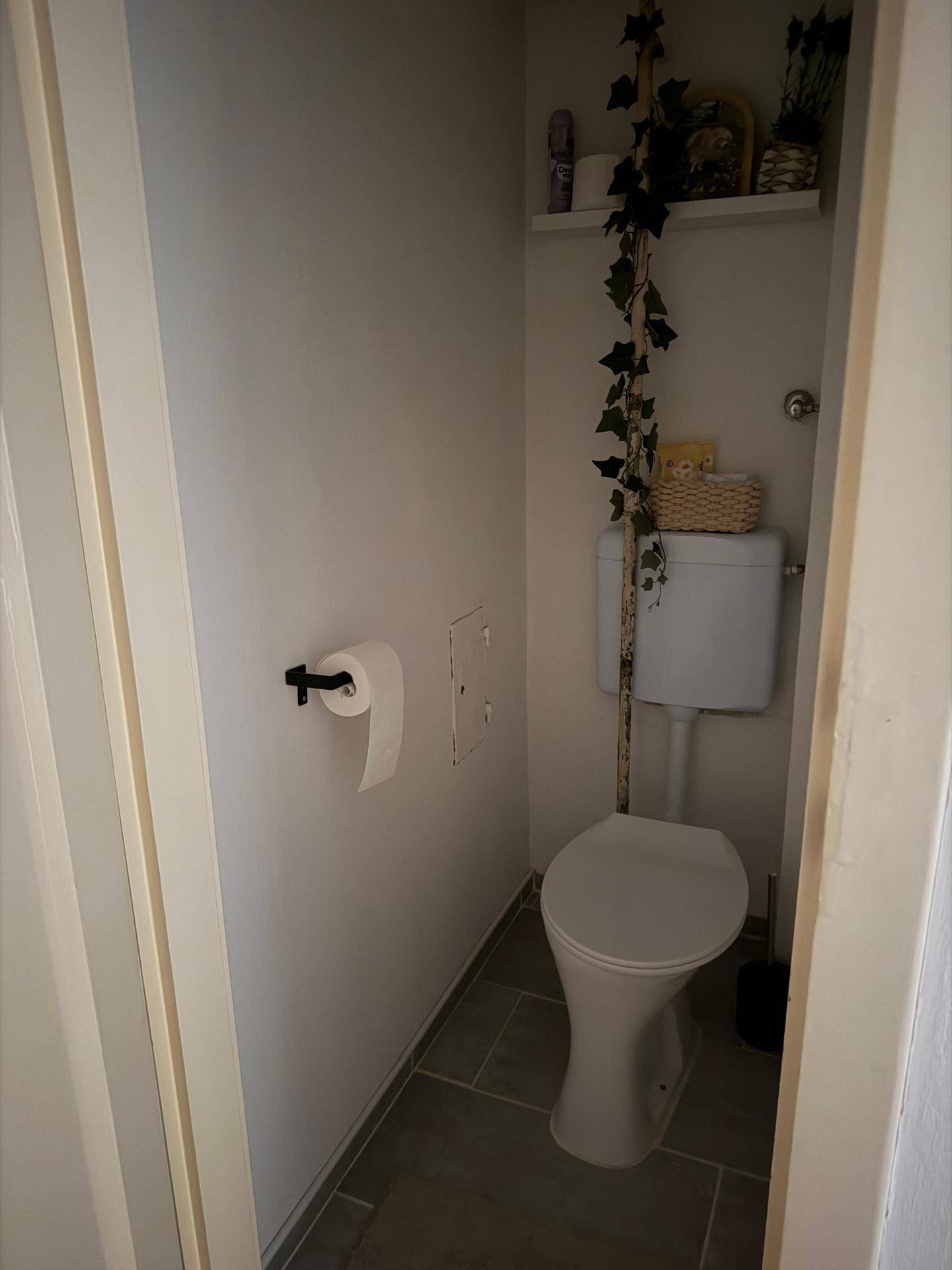 Kleines Gäste-WC mit Toilette und einfacher Einrichtung, dekoriert mit einer Pflanzenranke.