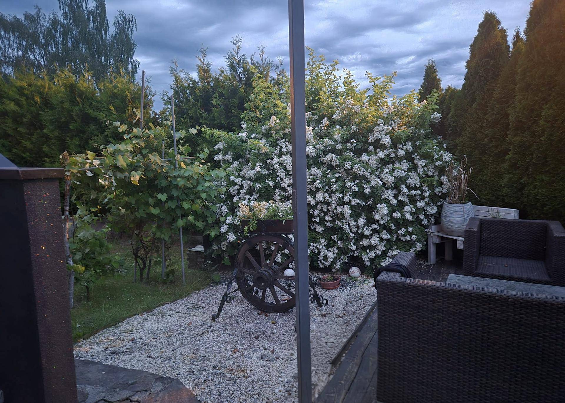 Gemütlicher Gartenbereich mit Sitzgelegenheiten und blühenden Sträuchern.