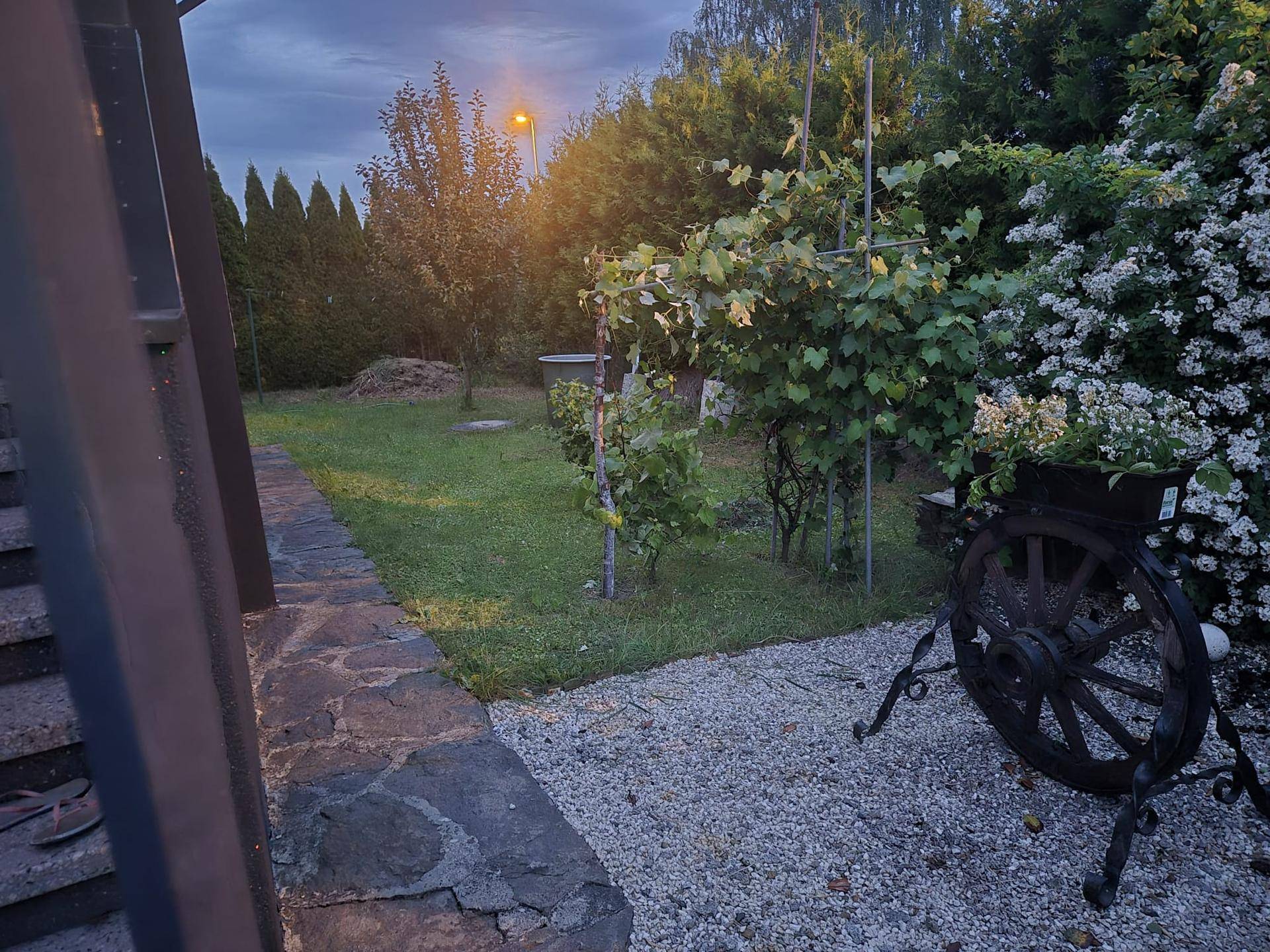 Gepflegter Garten mit Rasenfläche, Bäumen und Kiesweg.