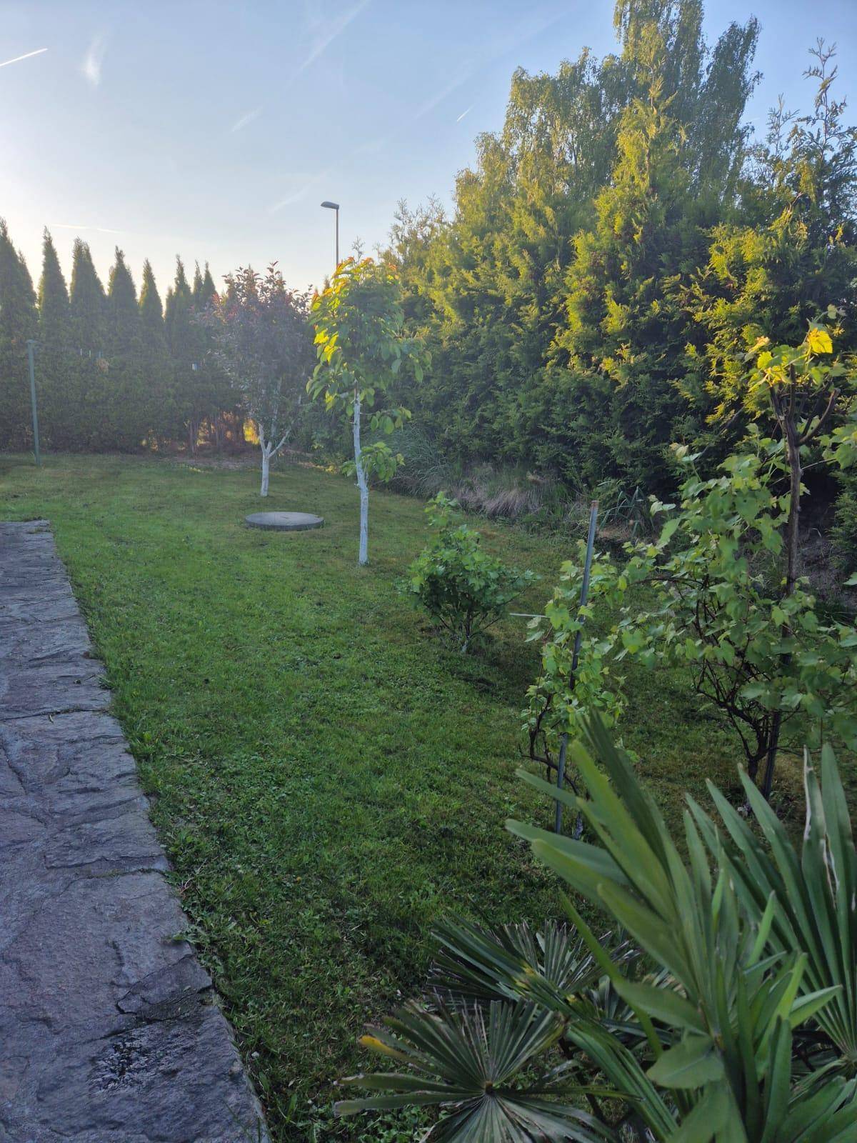 Weitläufiger Garten mit Rasenfläche, Bäumen und mediterranen Pflanzen.