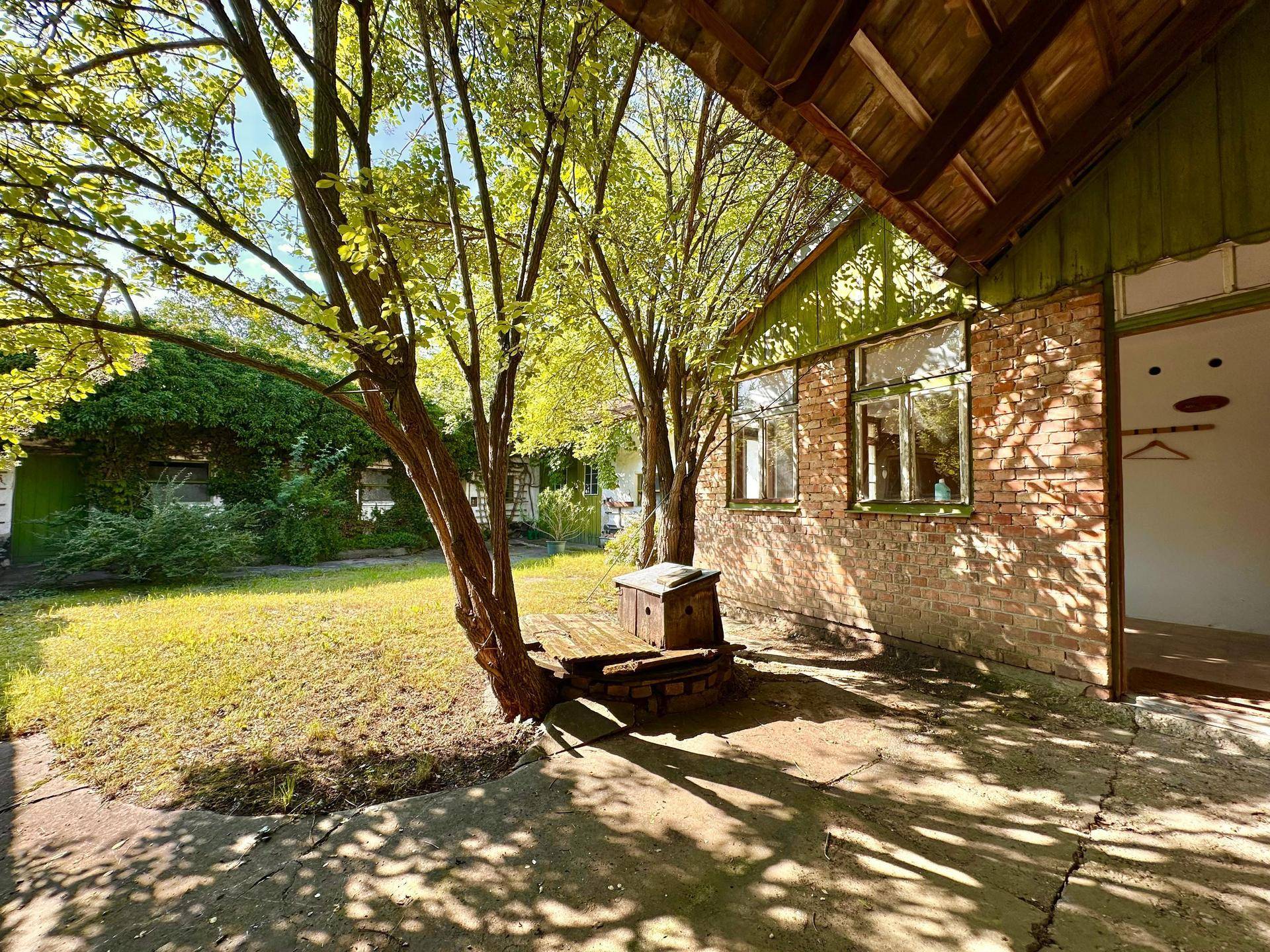Sonniger Garten mit alten Bäumen und einem rustikalen Backsteingebäude, das von Pflanzen bewachsen ist.