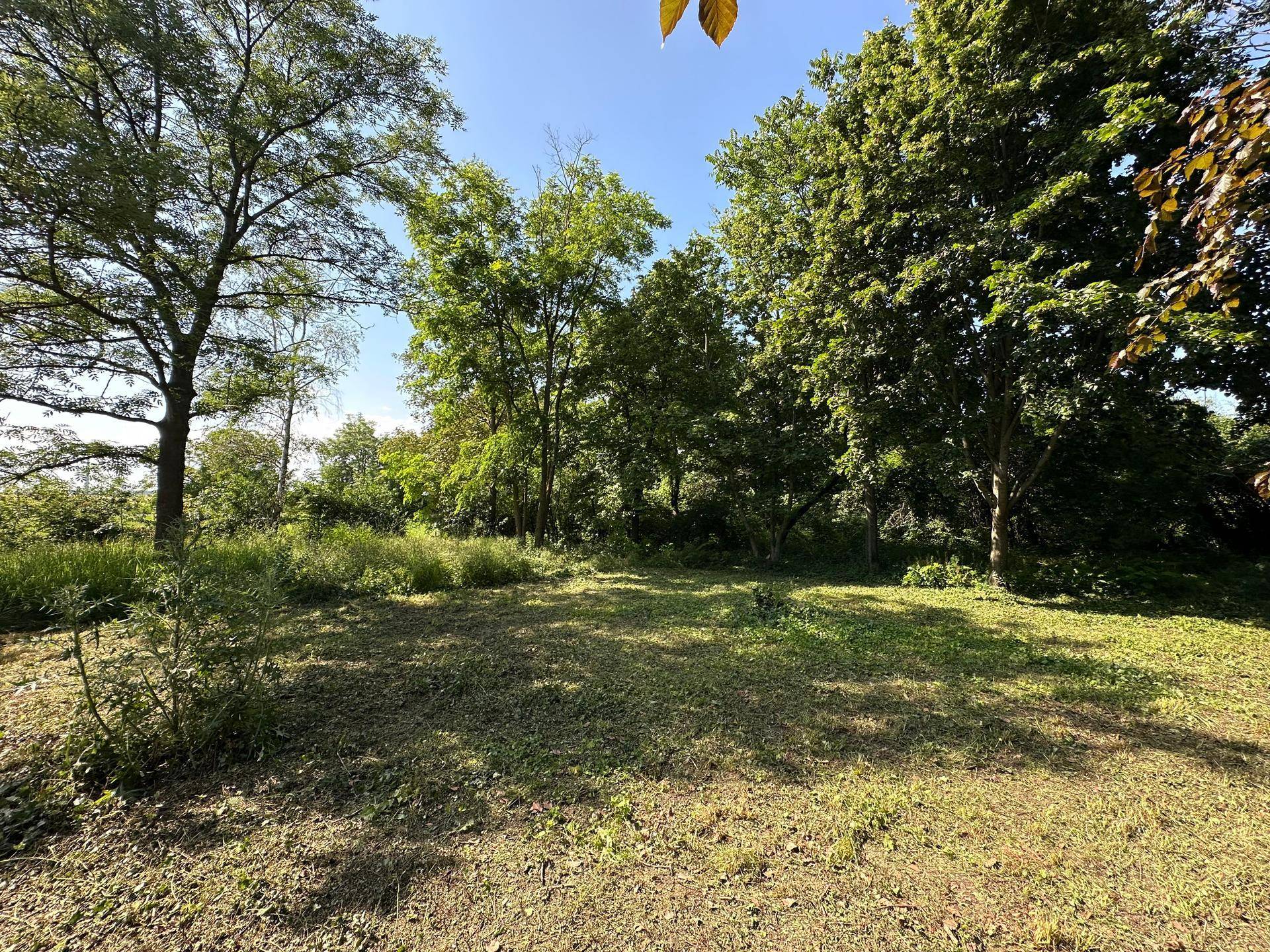 Offenes Gartengrundstück mit vereinzelten Bäumen und weitem Blick in die Natur.