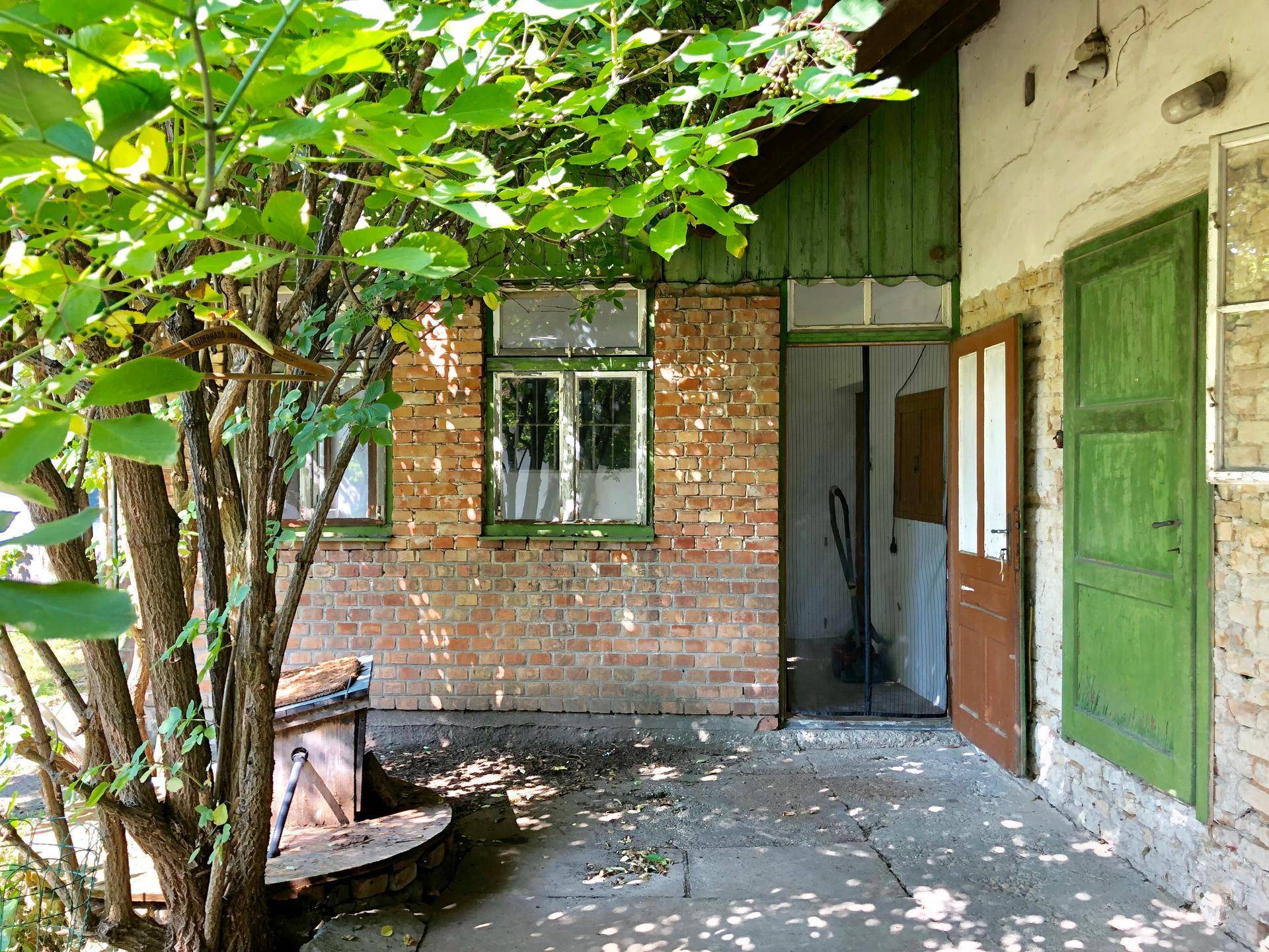 Fassade eines Gebäudes mit grüner Tür, Fenstern und umgebenden Bäumen im Sonnenlicht.