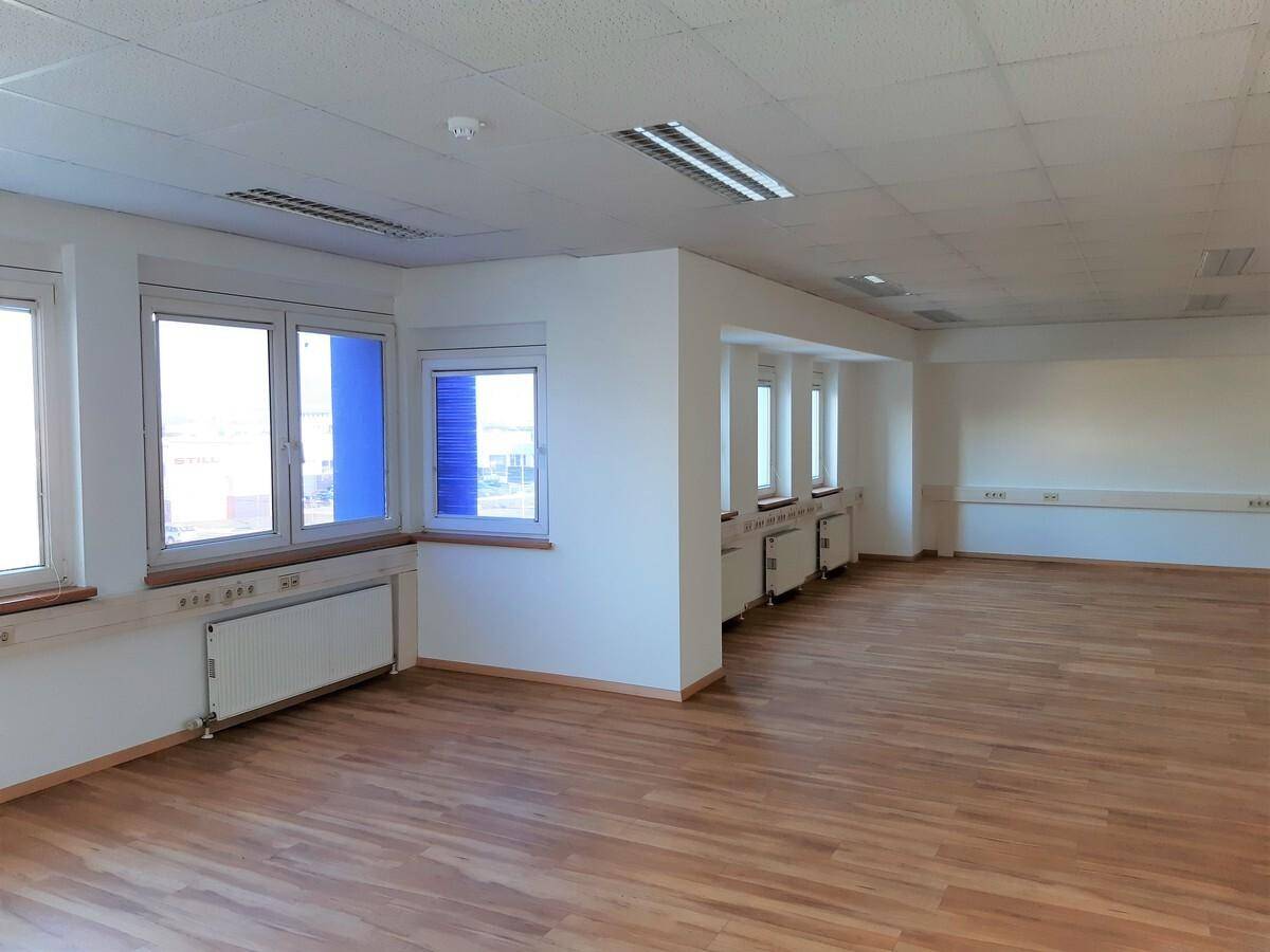 Großes, leeres Büro mit vielen Fenstern, hellem Laminatboden und Deckenplatten, ideal für Arbeitsbereiche.