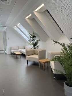 Heller Loungebereich im Dachgeschoss mit modernen Möbeln, Pflanzen und großen Dachfenstern für viel Tageslicht.