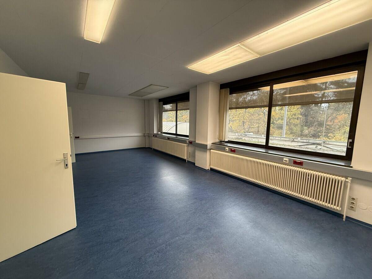 Geräumiger Büroraum mit blauen Vinylböden und mehreren Fenstern, die viel Tageslicht hereinlassen.