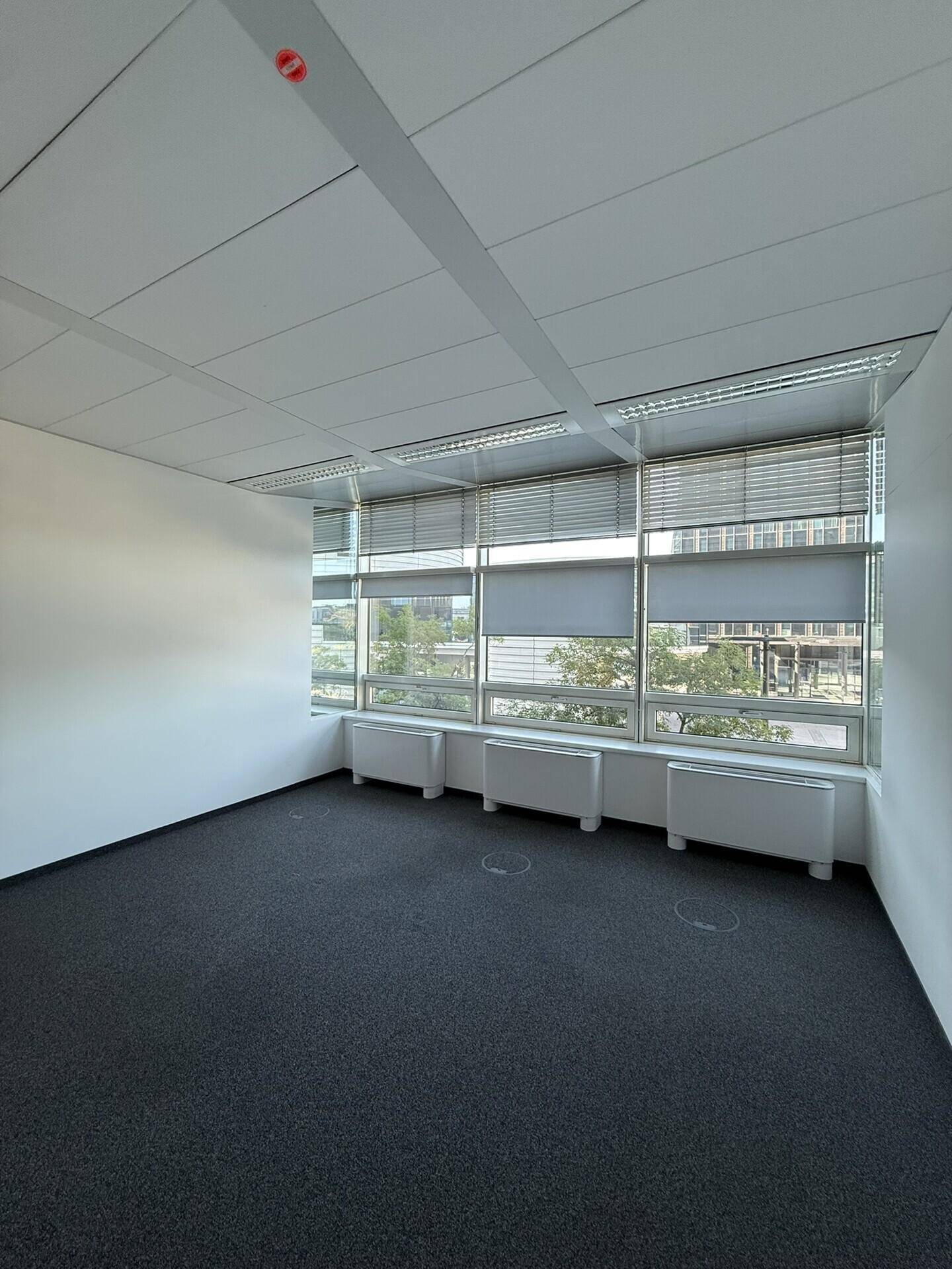 Geräumiges, unmöbliertes Büro mit Teppichboden und einer Fensterfront, die für eine helle Arbeitsatmosphäre sorgt.