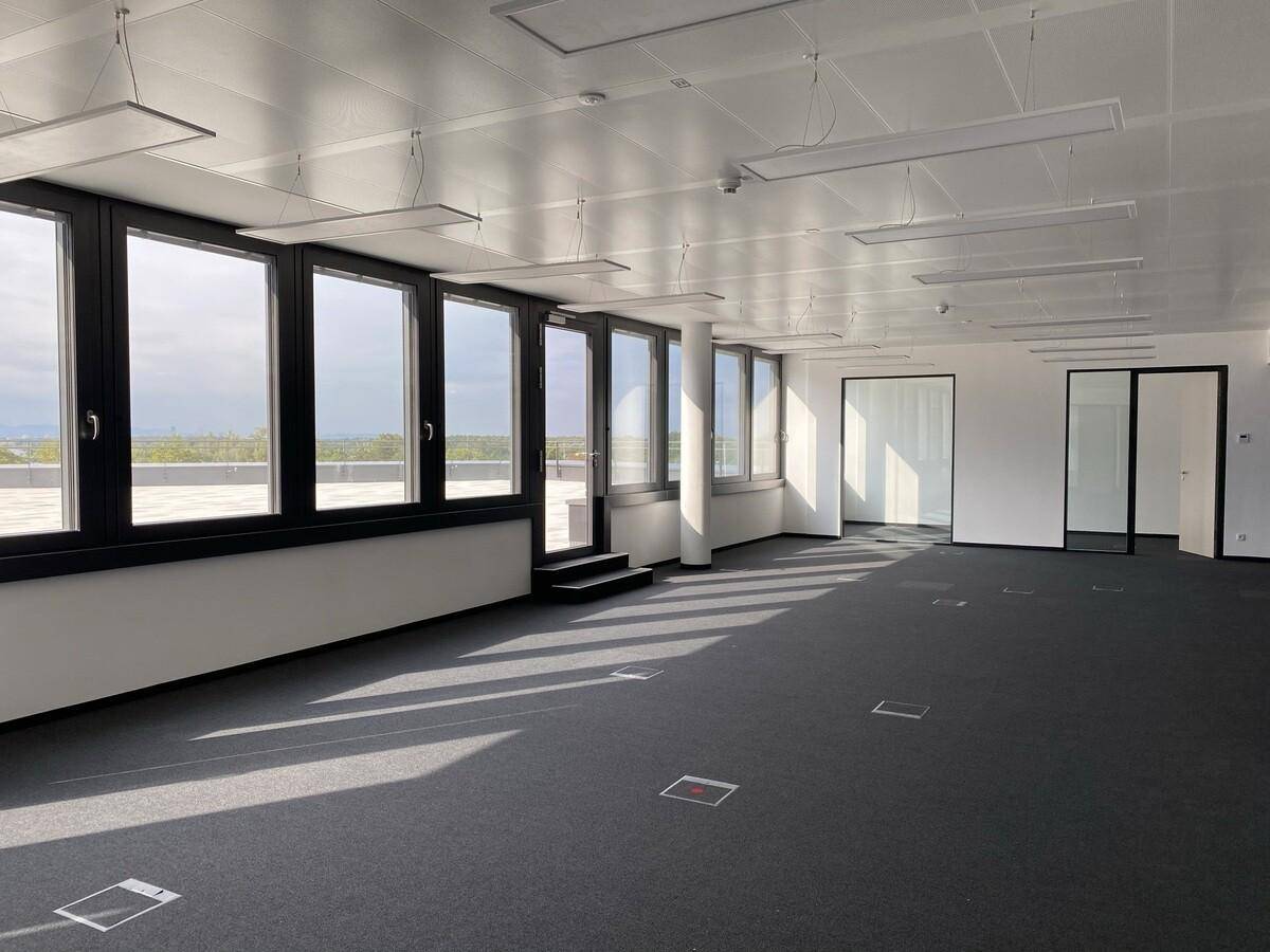 Großer, leerer Bürobereich mit vielen Fenstern, dunklem Teppichboden und Säulen, die den Raum strukturieren.