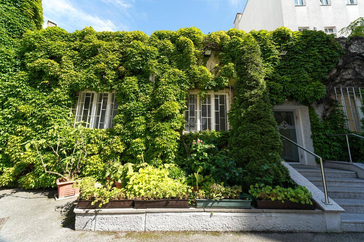 Gebäudefassade dicht bewachsen mit grünem Efeu, umgeben von Pflanzen und einem kleinen Gartenbereich.