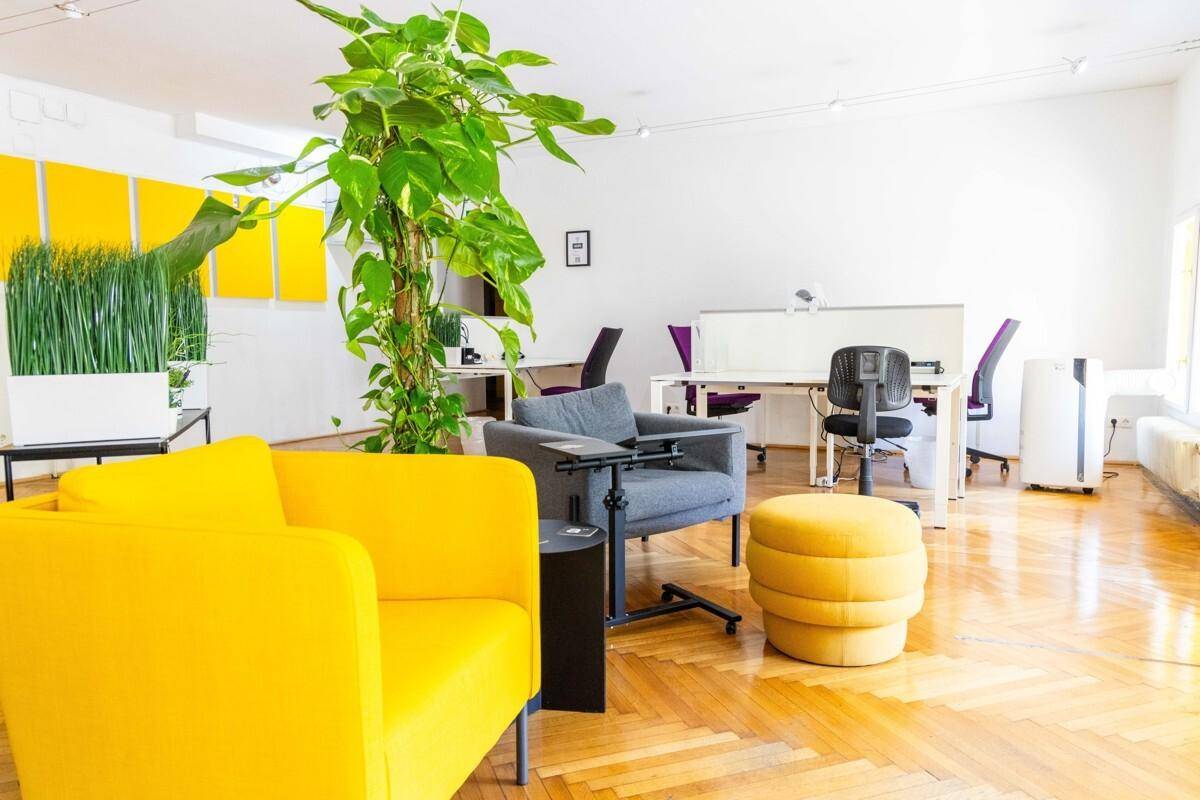 Heller Bürobereich mit gelben Sesseln und großen Pflanzen, im Hintergrund sind weitere Arbeitsplätze sichtbar.
