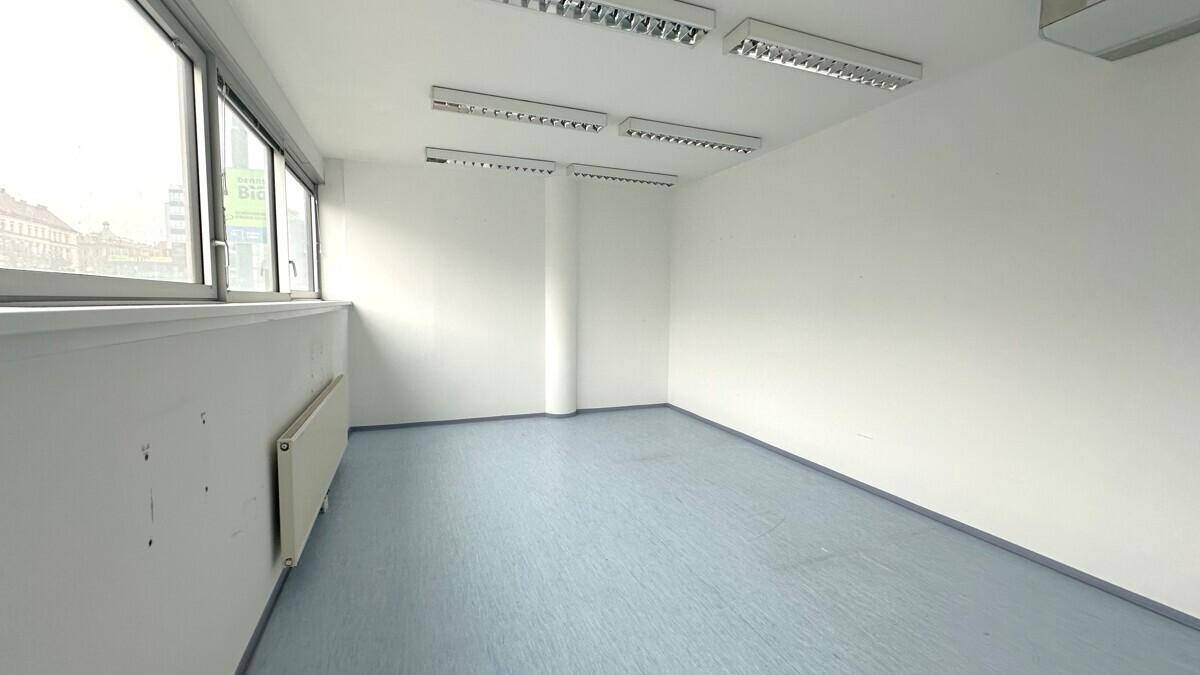 Leeres Büro mit hellblauem Vinylboden, weißen Wänden und großen Fenstern, die viel Tageslicht hereinlassen.