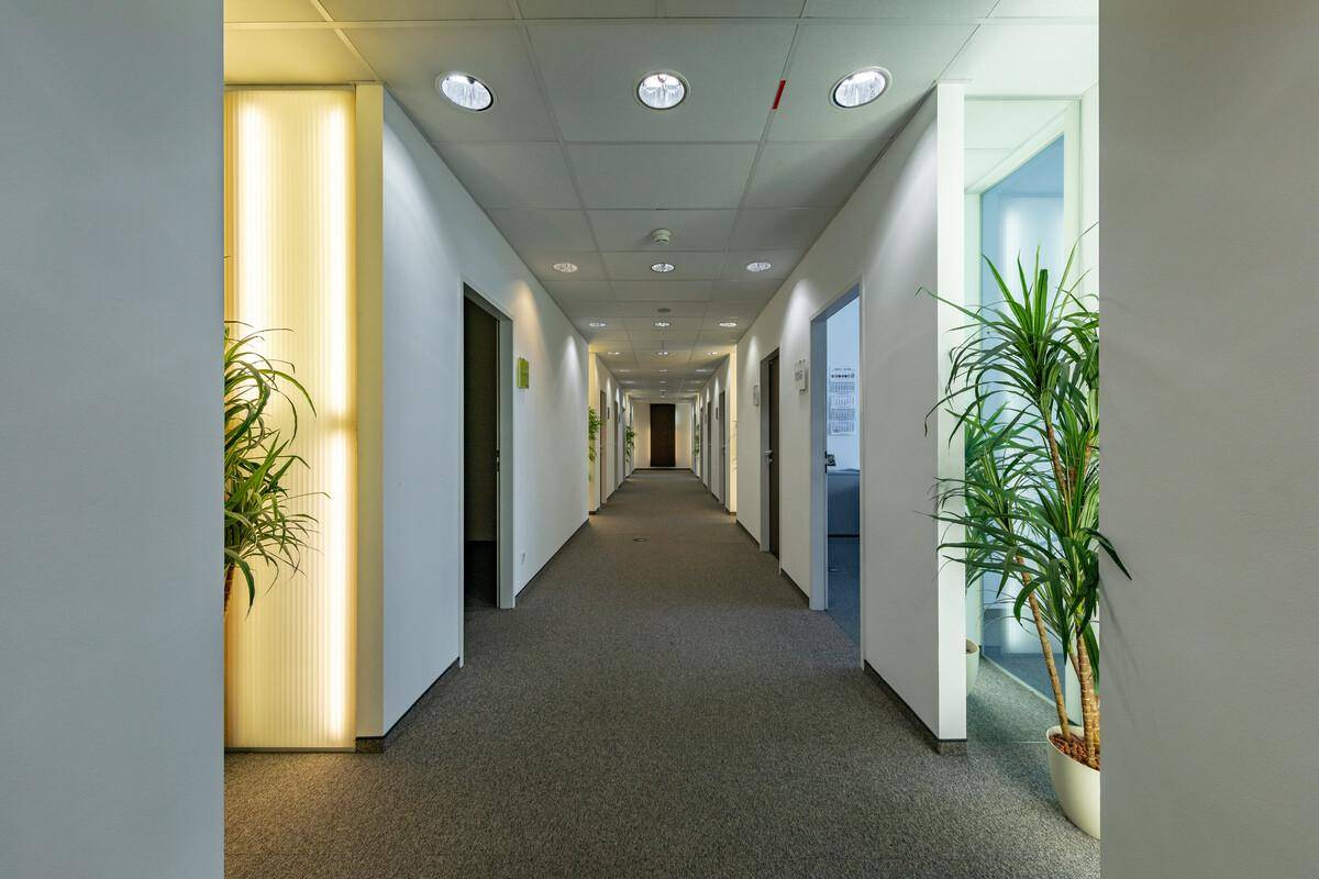 Langer, heller Büroflur mit Teppichboden, Einbauleuchten und dekorativen Pflanzen am Ende.