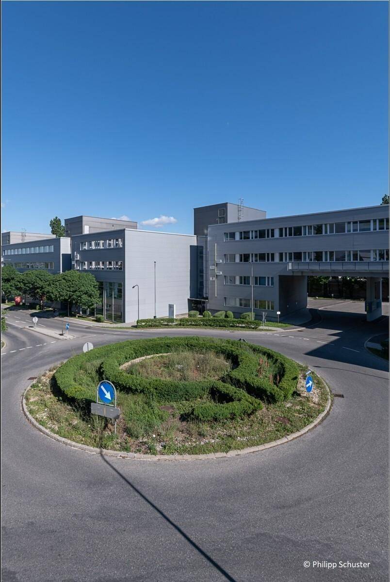 Luftaufnahme eines Kreisverkehrs mit gepflegter Hecke und modernen Bürogebäuden im Hintergrund unter blauem Himmel.