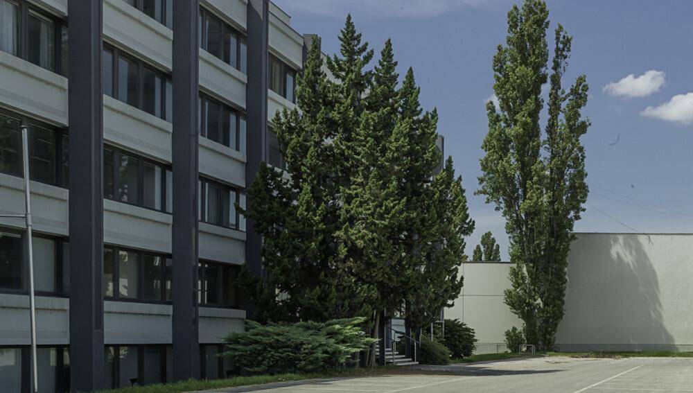 Detailansicht der modernen Gebäudefassade mit hohen Fenstern und hohen Bäumen im Vordergrund.