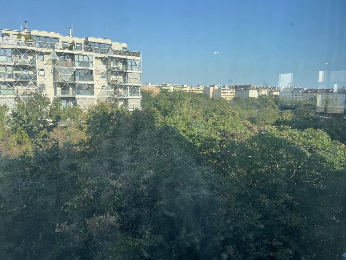 Blick aus dem Fenster auf dichte Bäume und ein Wohngebäude im Hintergrund.