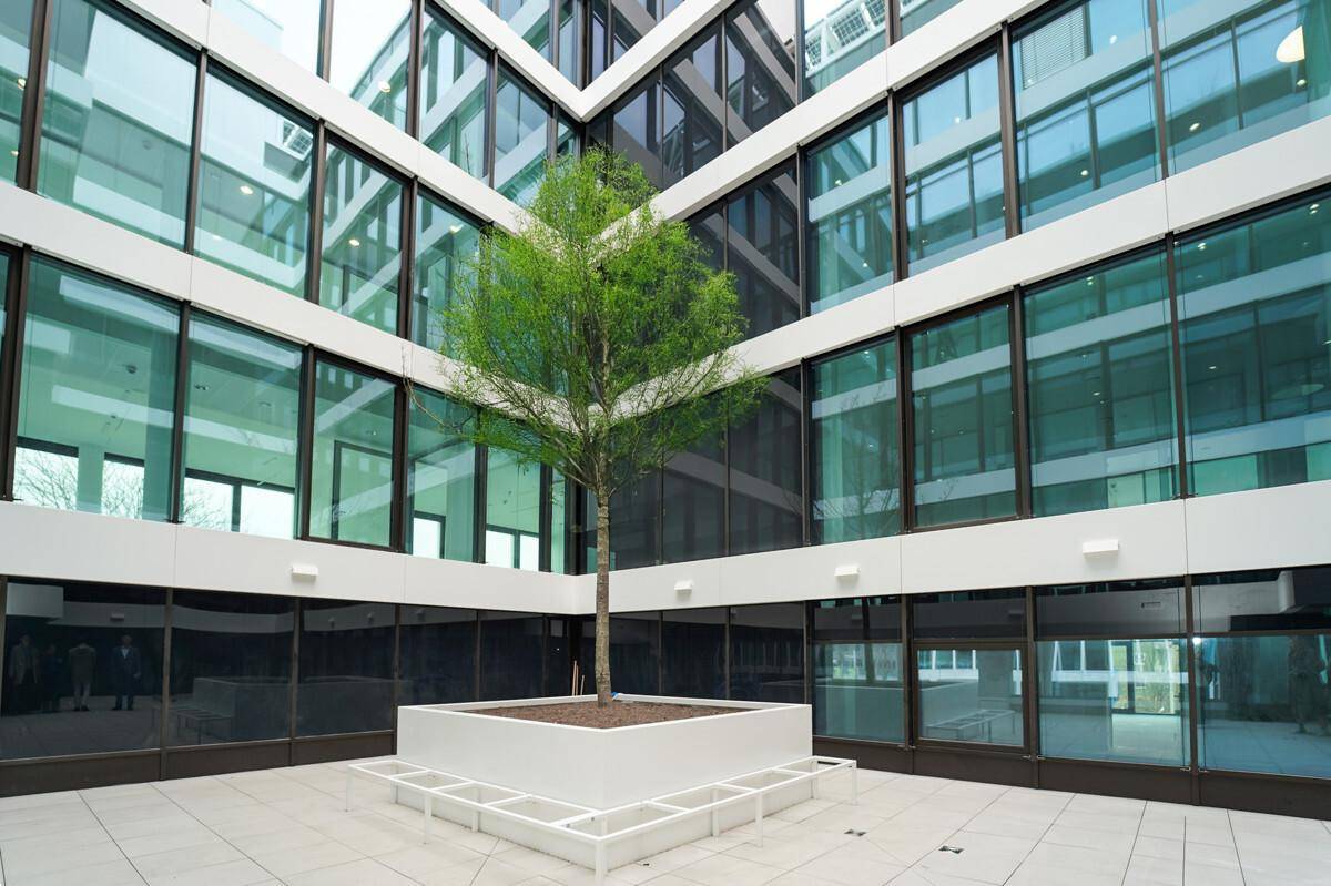 Innenhof eines modernen Bürogebäudes mit einem Baum als zentralem Gestaltungselement.