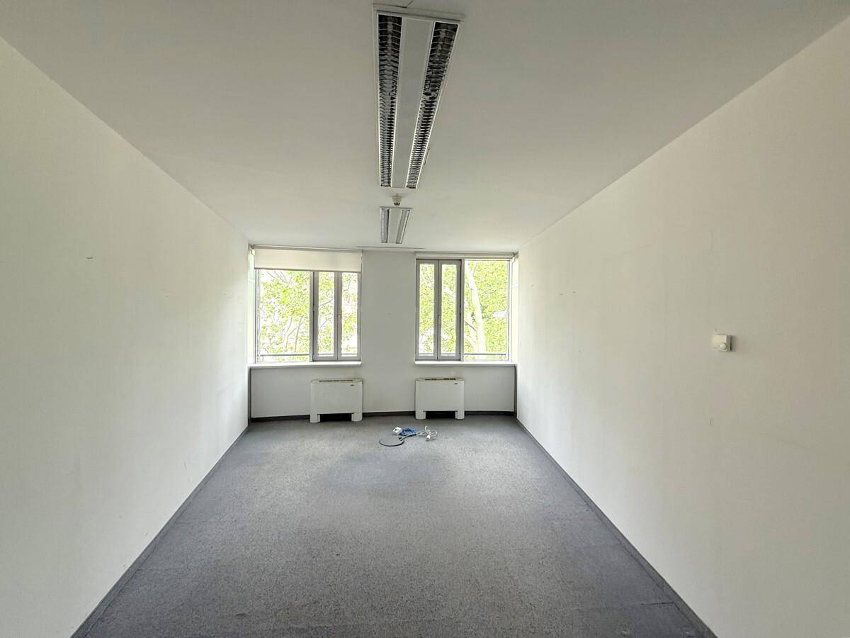 Länglicher Büroraum mit grauem Teppichboden, weißen Wänden und zwei Fenstern, die Tageslicht hereinlassen.