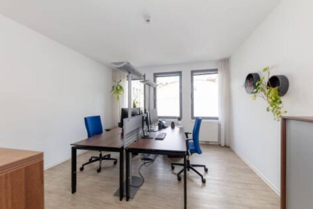 Modernes Büro mit zwei Arbeitsplätzen, Fenstern und Pflanzen als Dekoration.