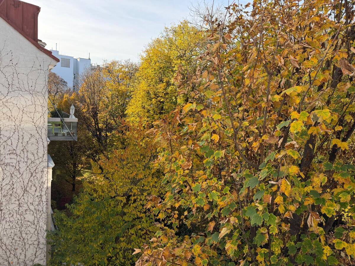 Balkon mit üppiger Herbstbepflanzung und einem Blick auf die umliegenden Gebäude und Bäume.