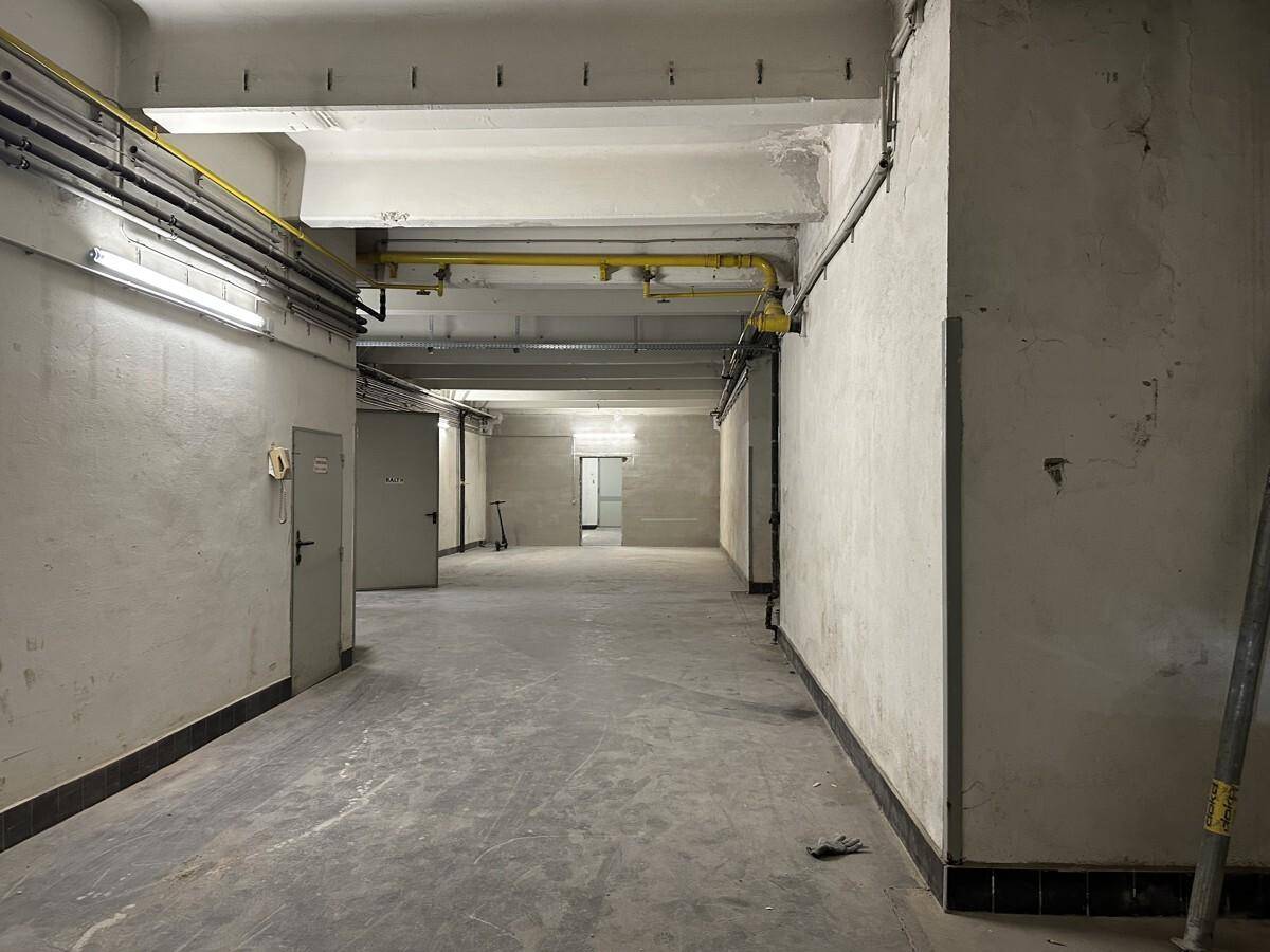 Großer, leerer Kellerraum mit sichtbaren Rohren und Betonboden, bereit für eine vielseitige Nutzung.