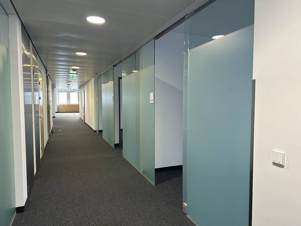 Büroflur mit Teppichboden, modernen Glaswänden und integrierter Deckenbeleuchtung.