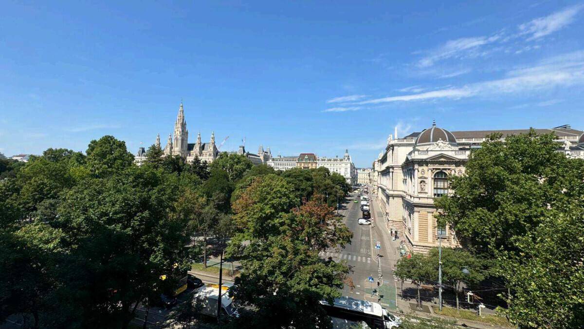 Panoramablick über eine belebte Stadtstraße mit Bäumen und historischen Gebäuden unter blauem Himmel.