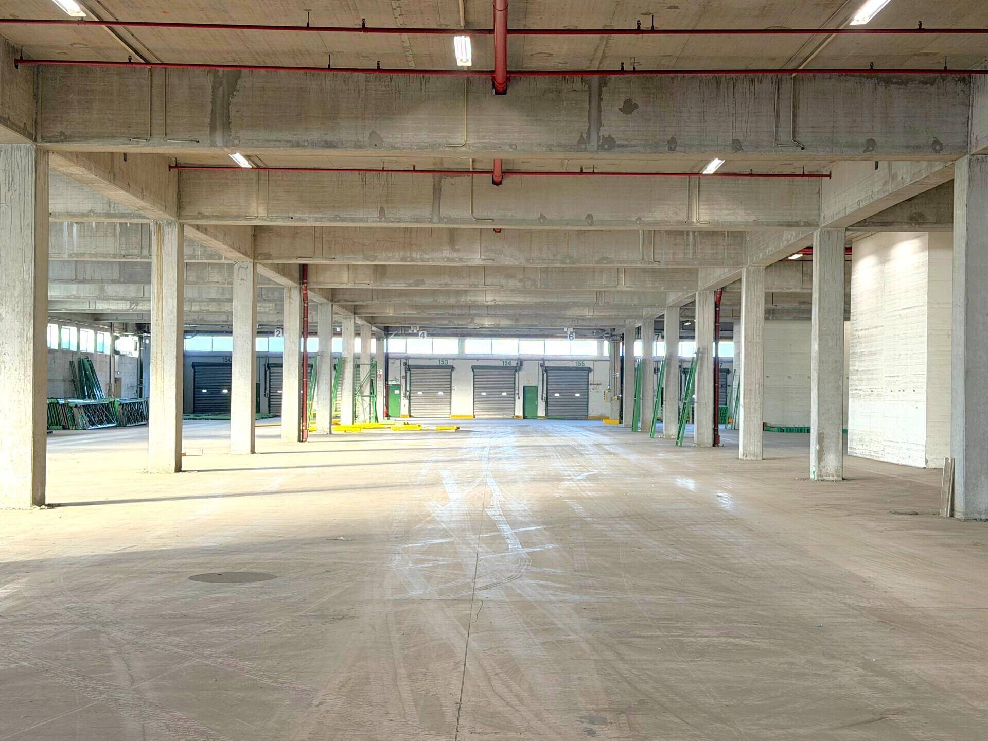 Großer, leerer Lagerraum mit Betonstützen, Rolltoren im Hintergrund und natürlichem Lichteinfall.