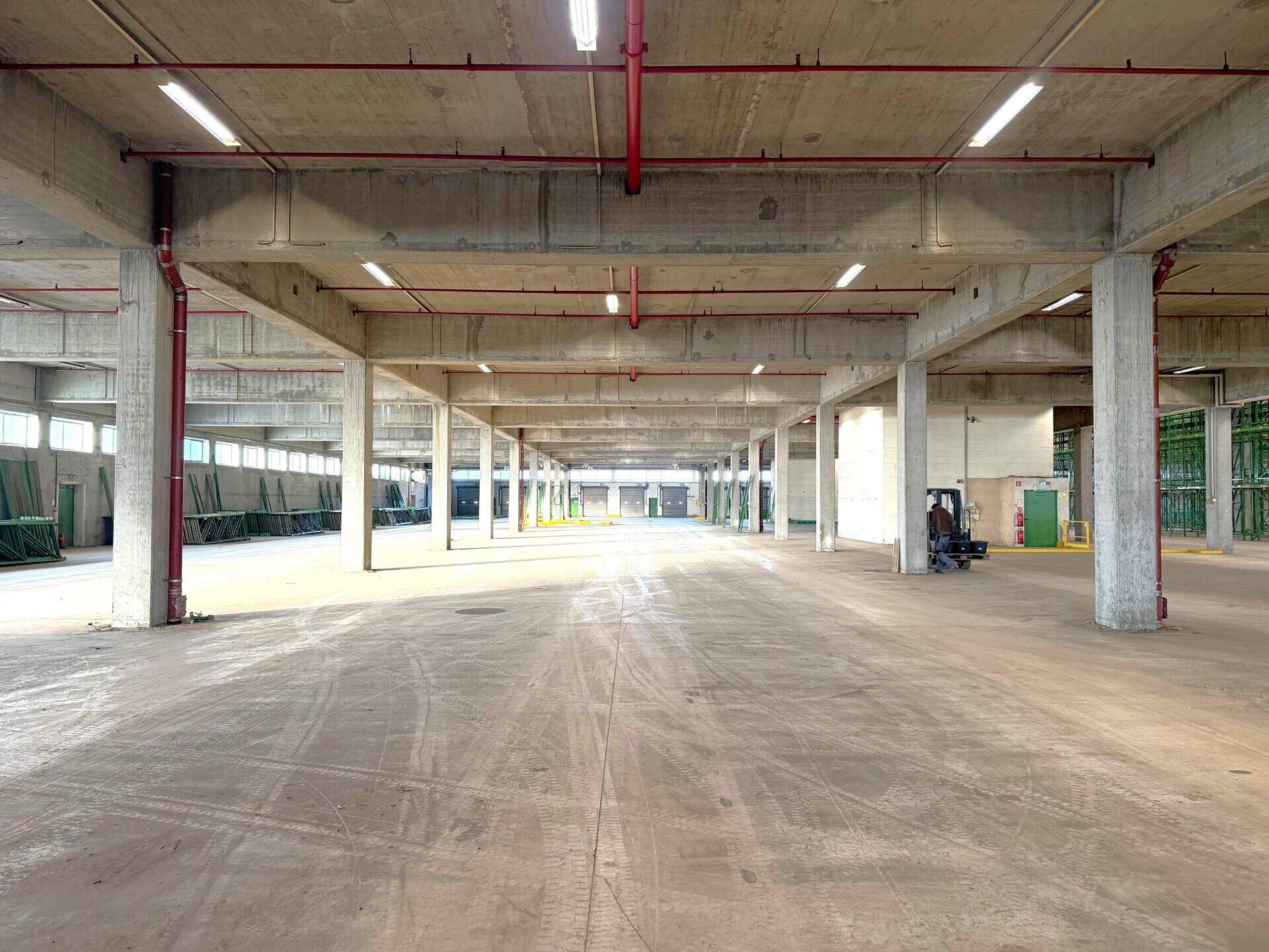Weitläufige, leere Lagerhalle mit Betonpfeilern, hohen Decken und sichtbaren roten Rohren.